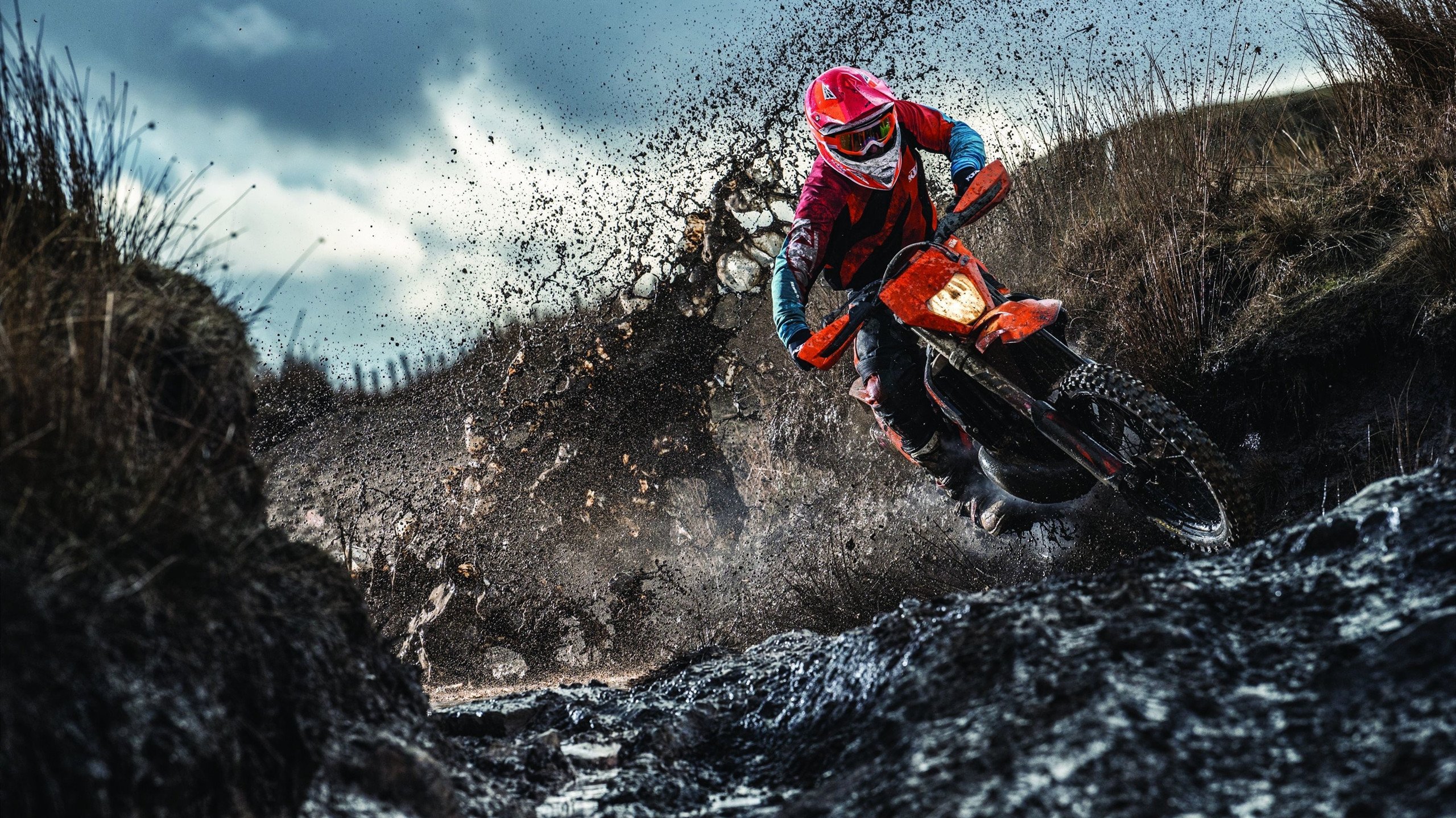 小巨人崛起:身材不高但技术出众的球员故事,小さな巨人