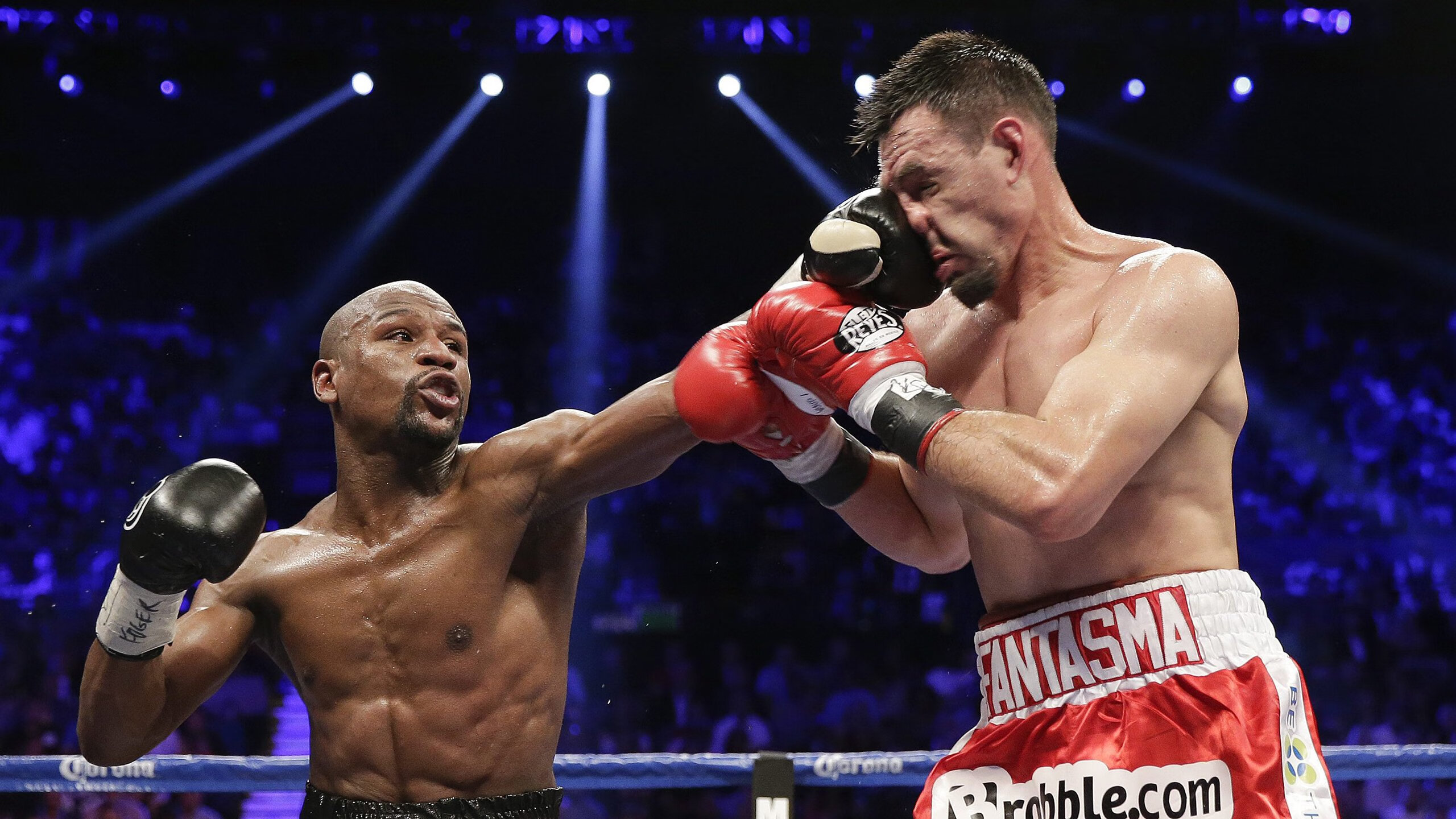 巴西马术协会与法国马术协会合作,举办国际马术研讨会,促进学术交流。